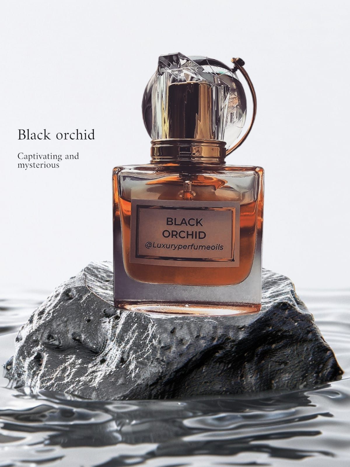 Black Orchid_0