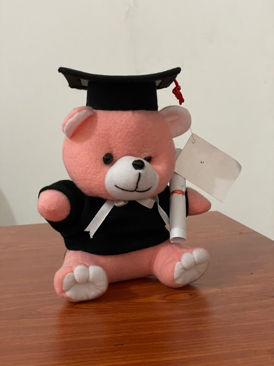 Mini Graduation Teddy Bear_0