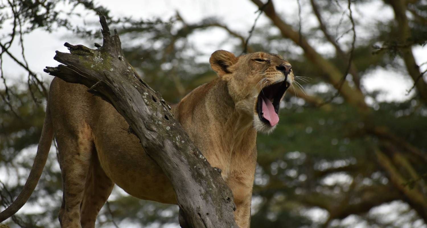 LAKE NAKURU NATIONAL PARK DAY TRIP _5