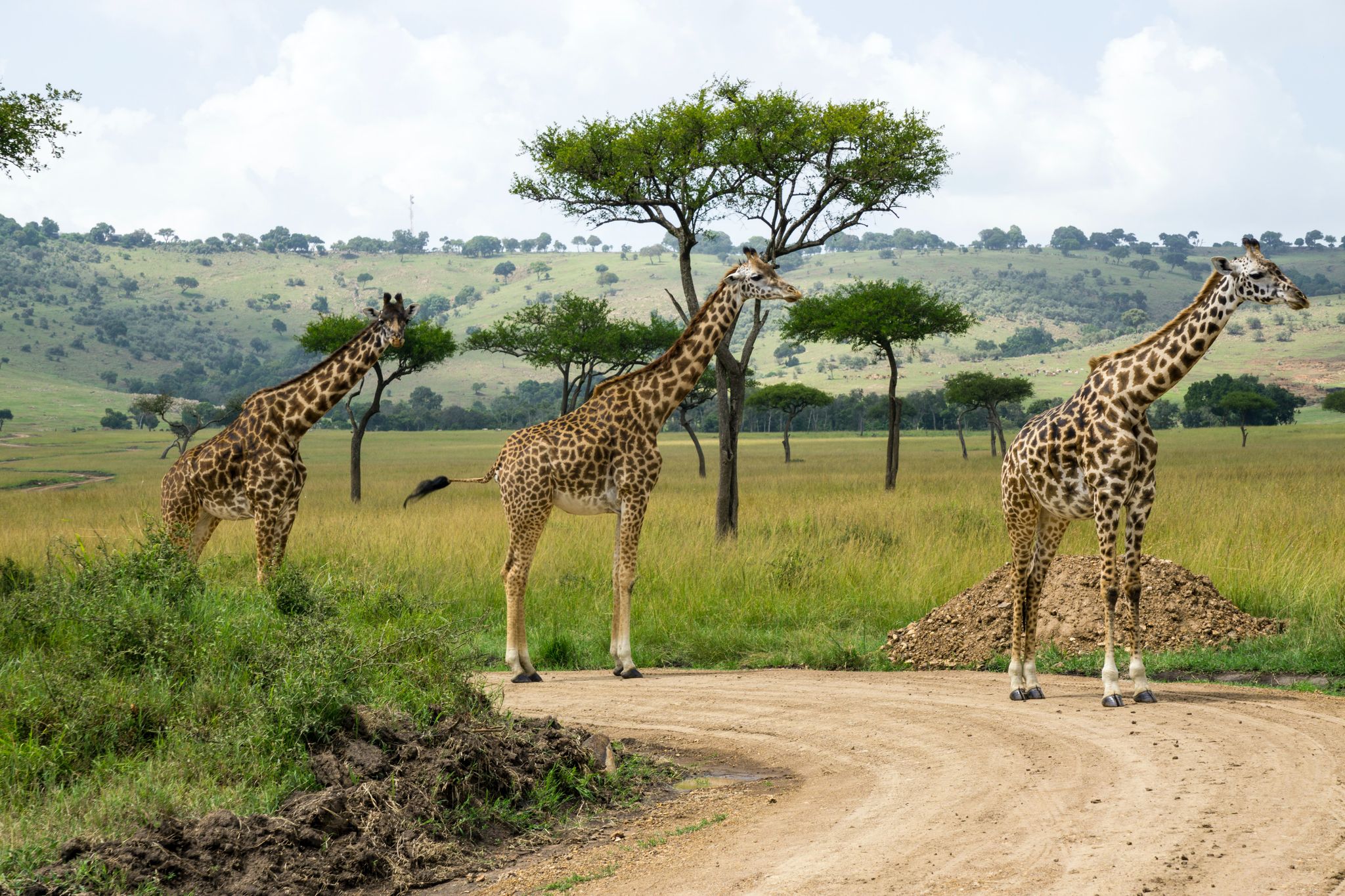 LAKE NAKURU NATIONAL PARK DAY TRIP _2