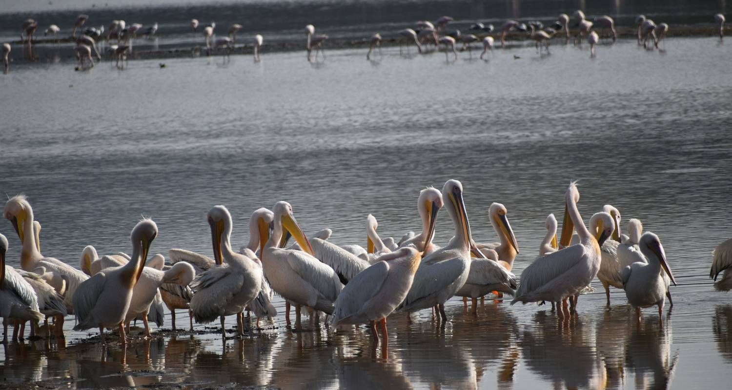 LAKE NAKURU NATIONAL PARK DAY TRIP _7