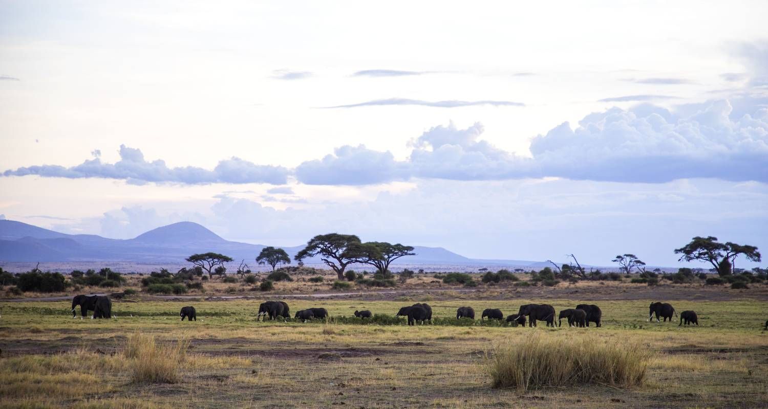 LAKE NAKURU NATIONAL PARK DAY TRIP _4