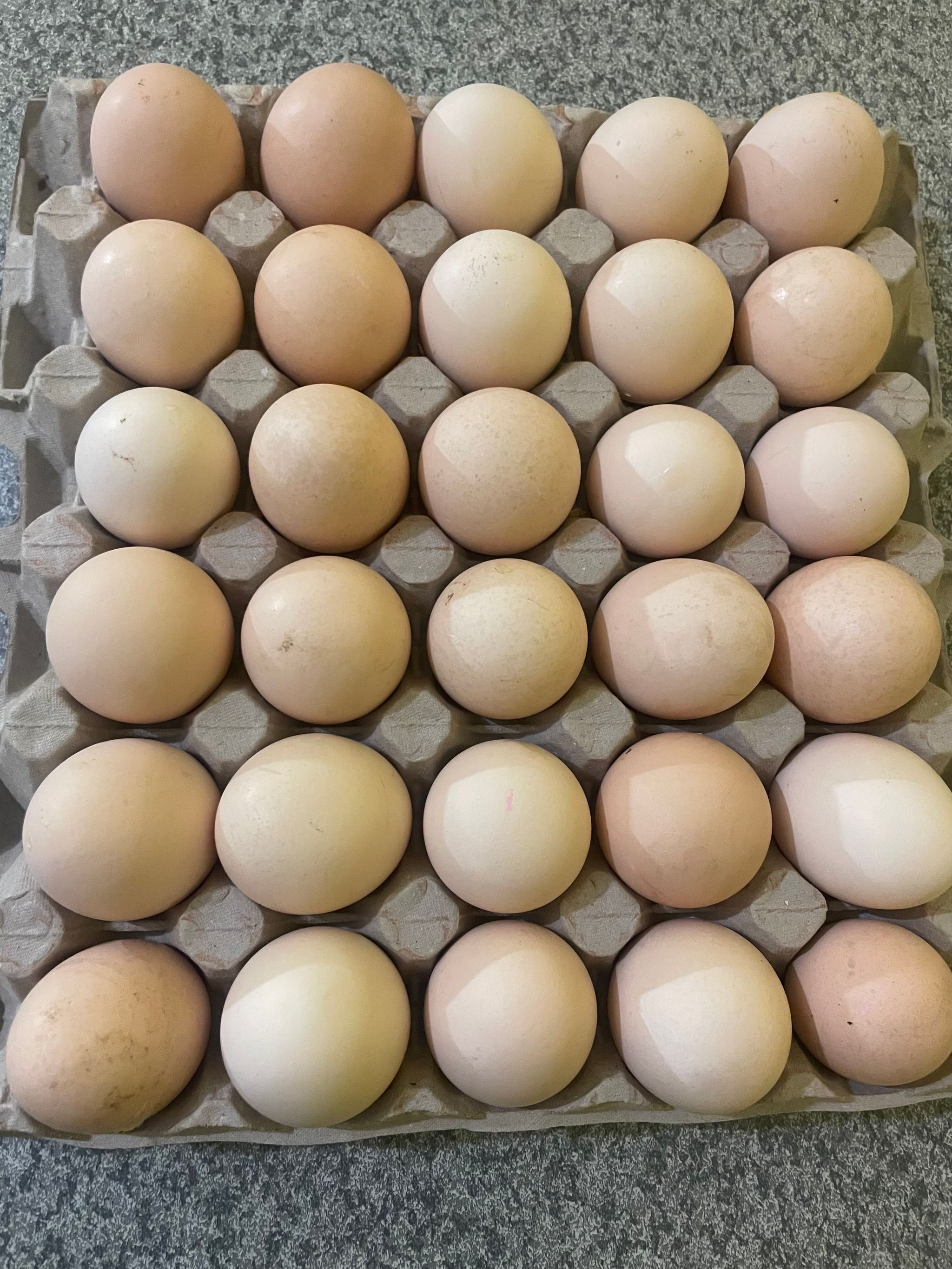 Large Eggs 30s_0