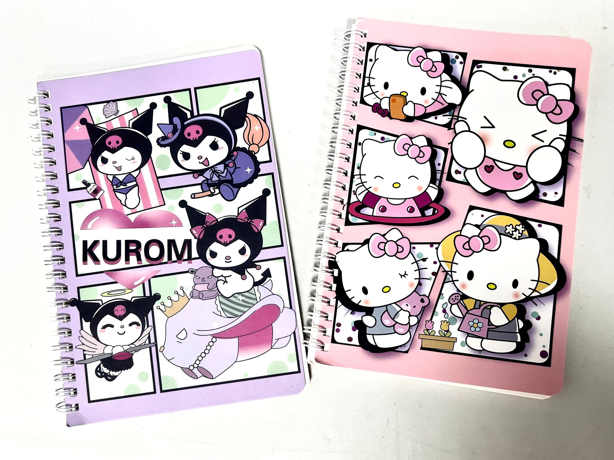 Sanrio Notebooks _0