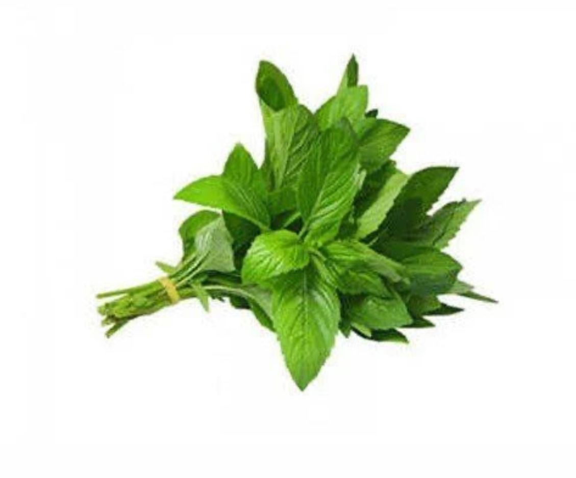 Basil 100g _0