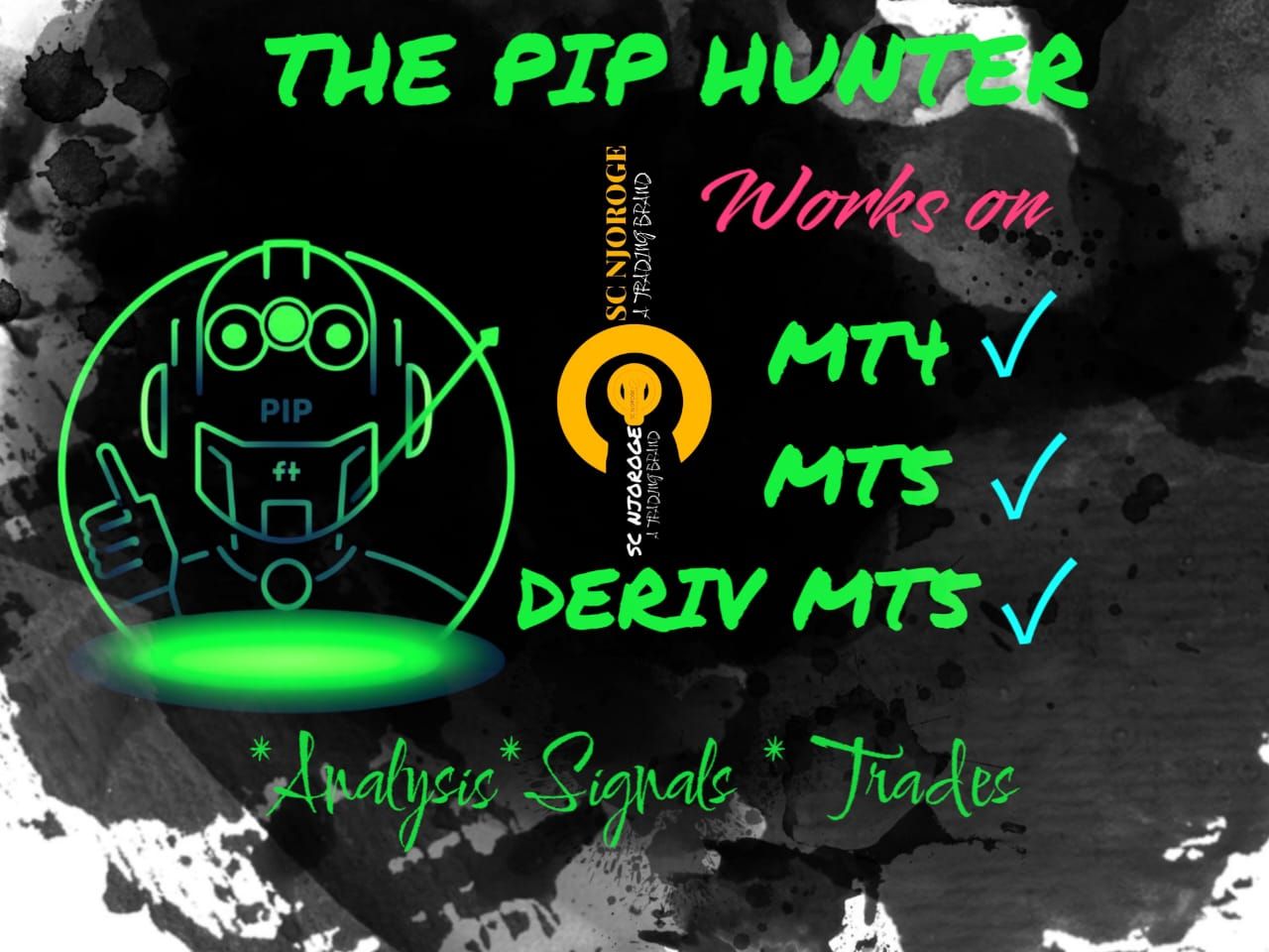 The Pip Hunter EA_1