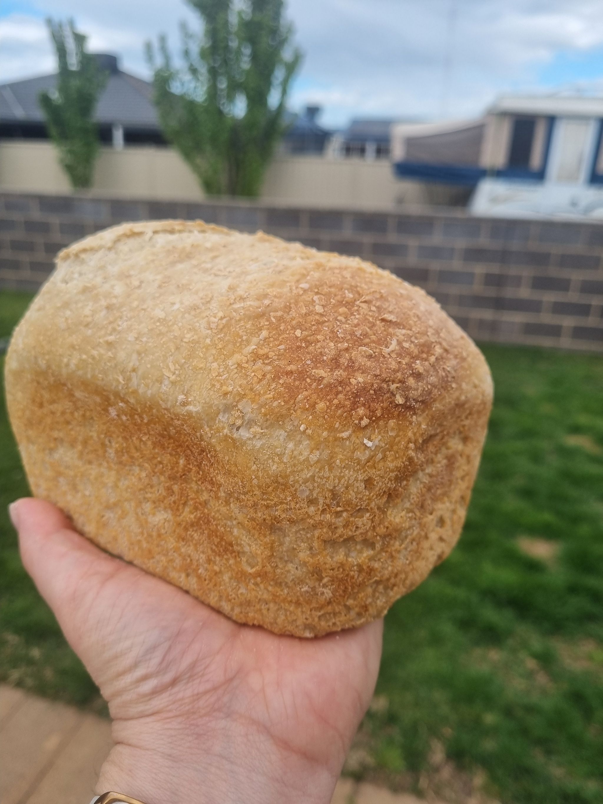 Wholemeal sourdough_0