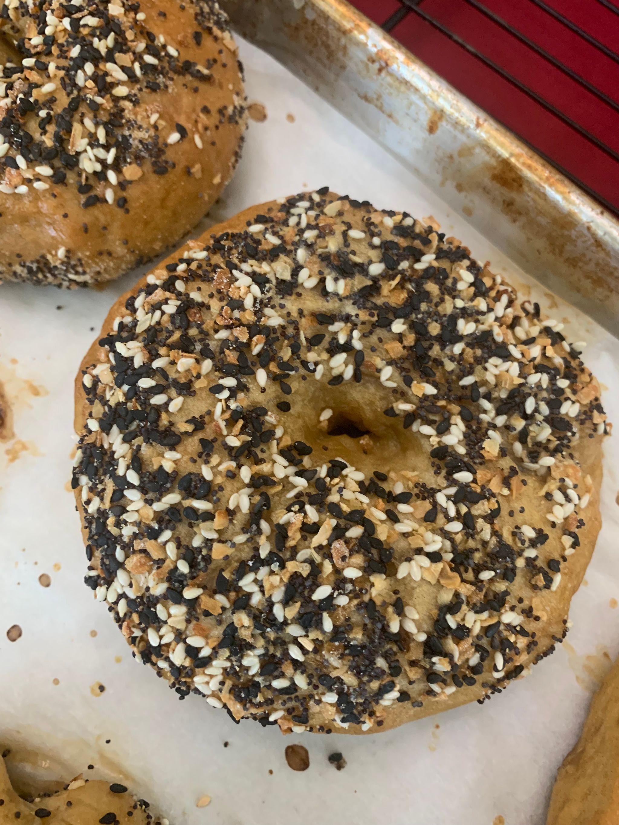 Bagel_1