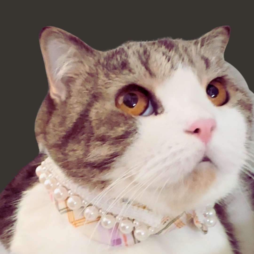 Bling Pearl Cutesy Pet Collar_3