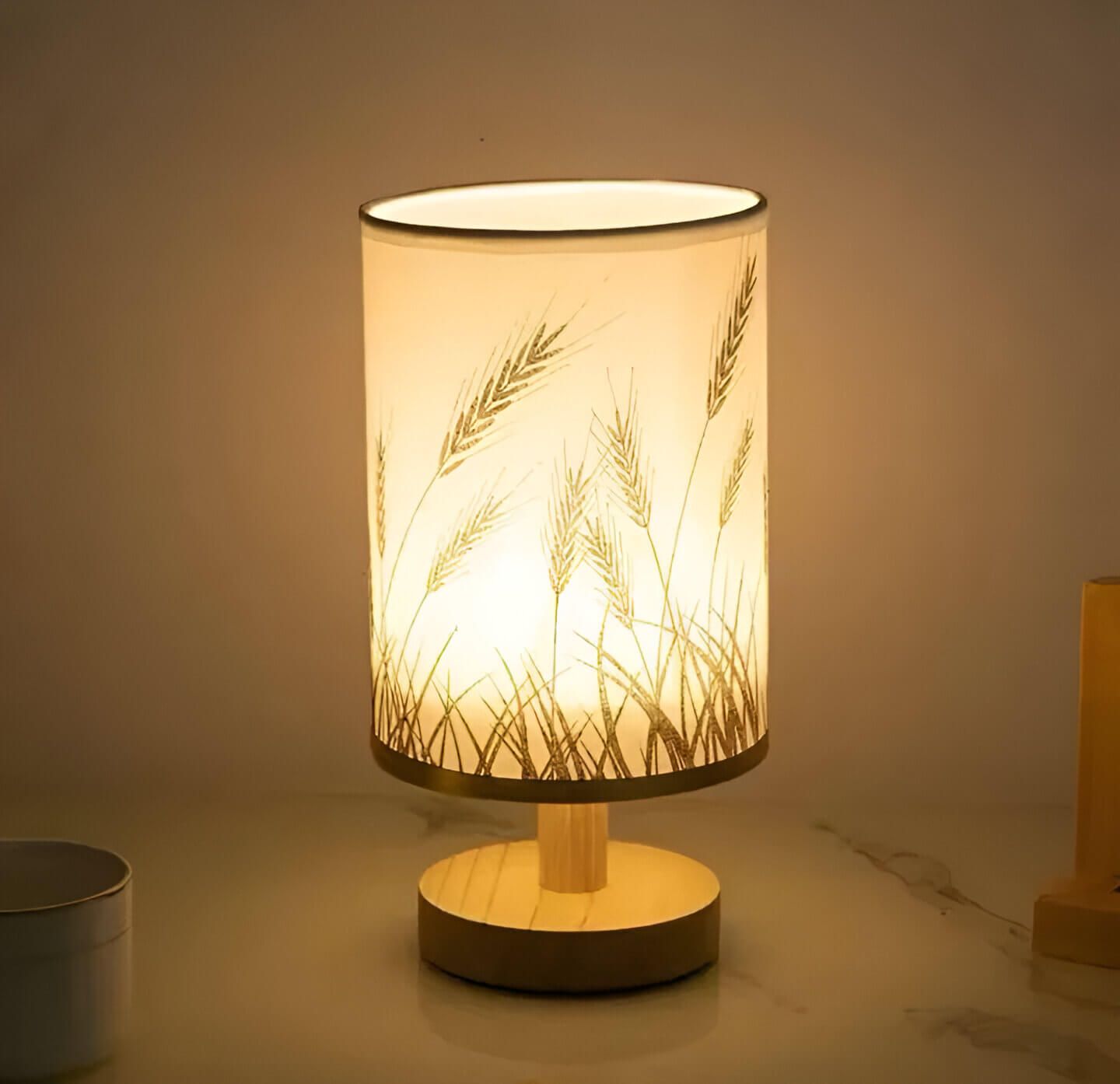 Contemporary Style Rechargeable Table Lamp_1