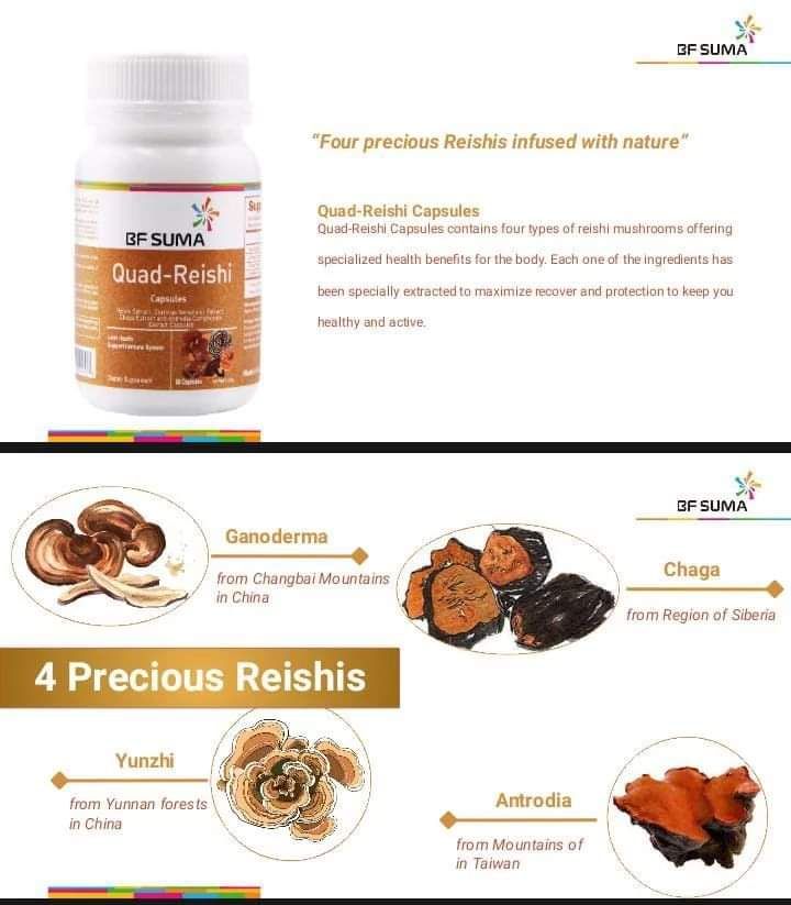 Quad Reishi capsules _2