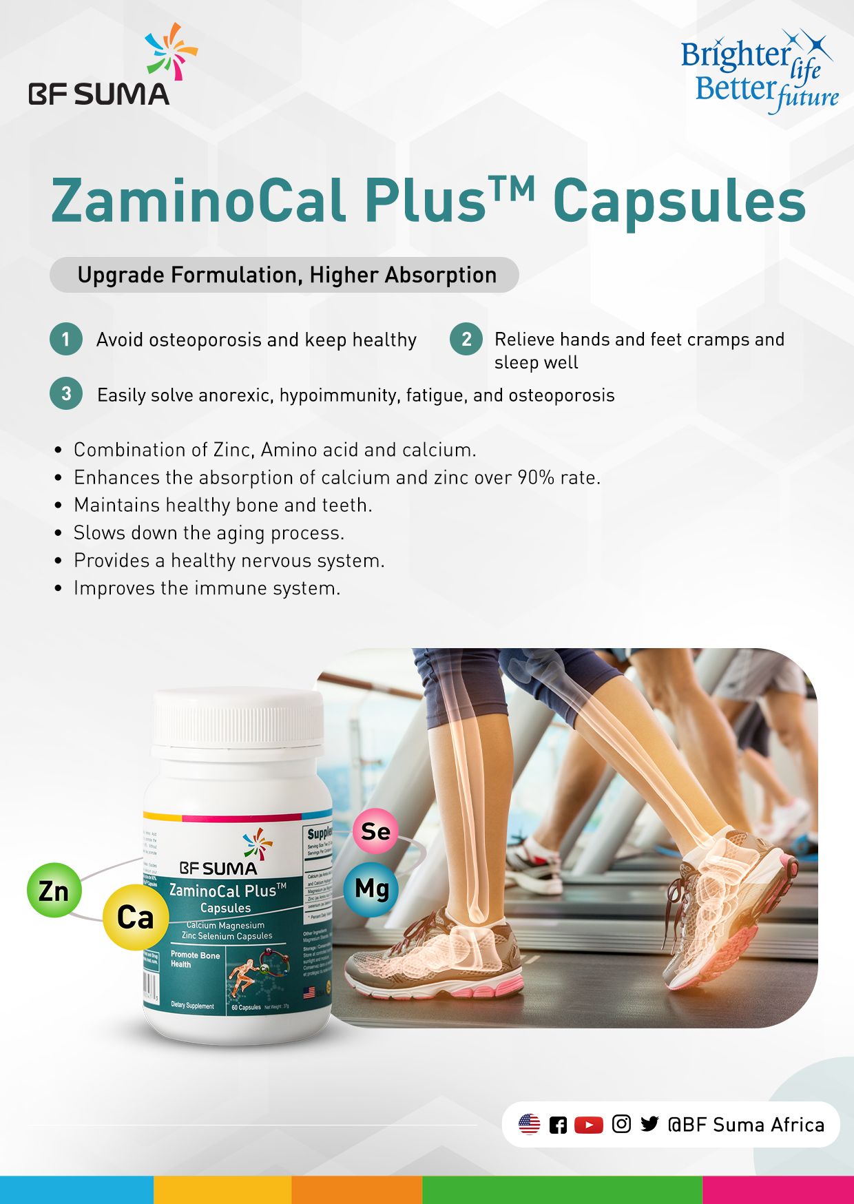 Zaminocal Plus Capsules _0