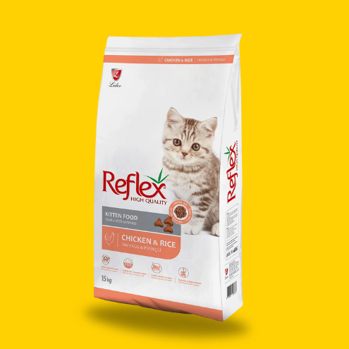 REFLEX  - Chaton - Poulet_1