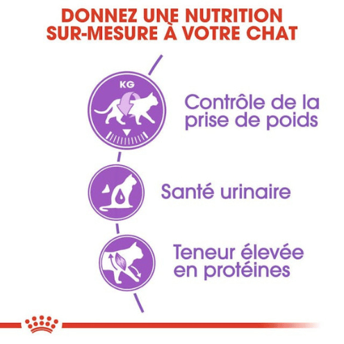 ROYAL CANIN - Chat Stérilisé 37_1