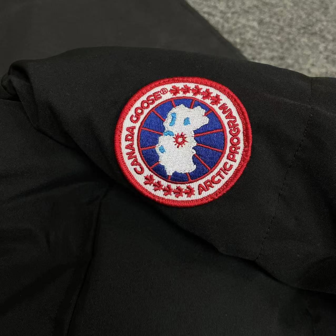 CANADA GOOSE_2