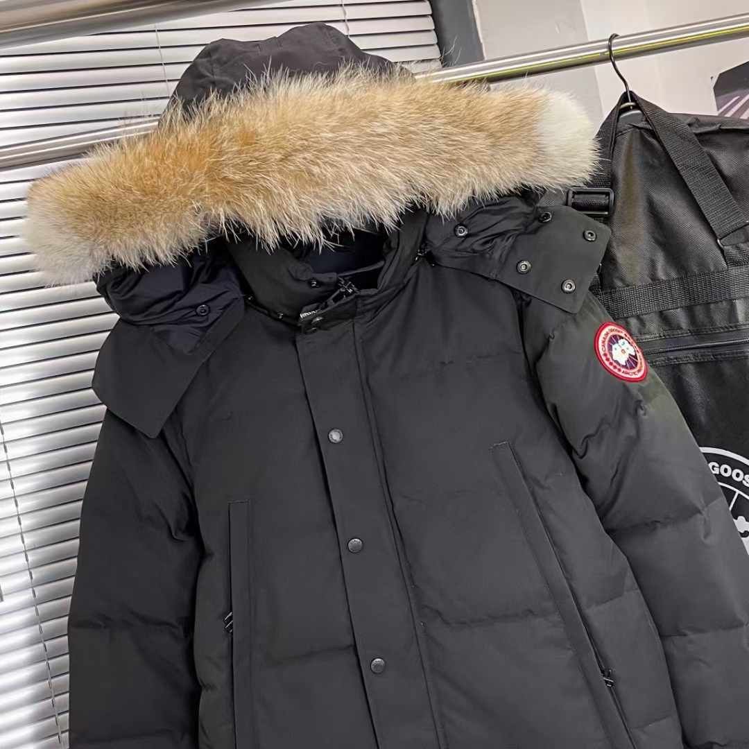 CANADA GOOSE_1