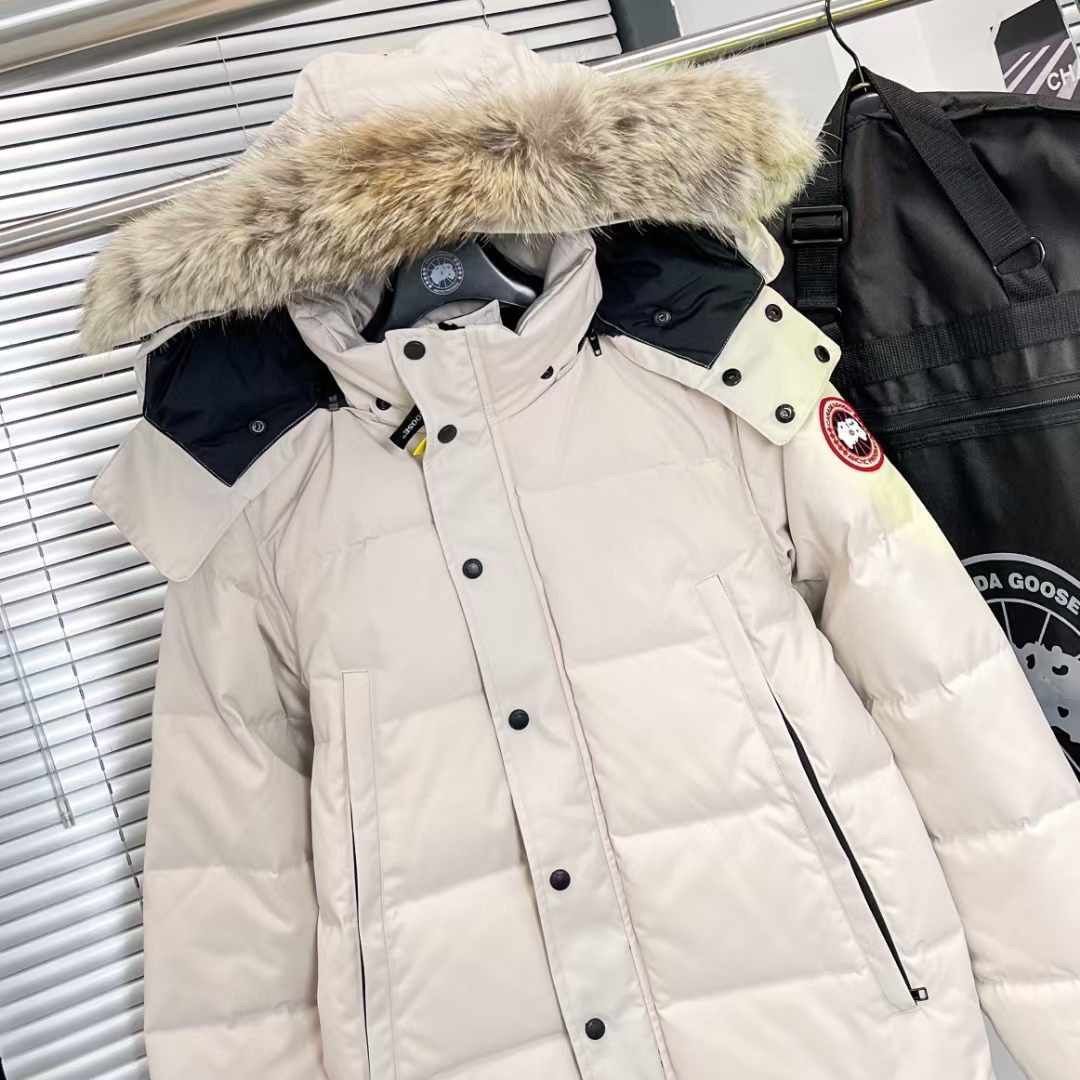 CANADA GOOSE_1