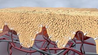 Eucerin Anti Pigment Bodylotion 200ml_4