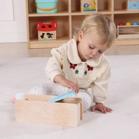 Tooky Montessori Inspired Play Box - 9-10 months_2