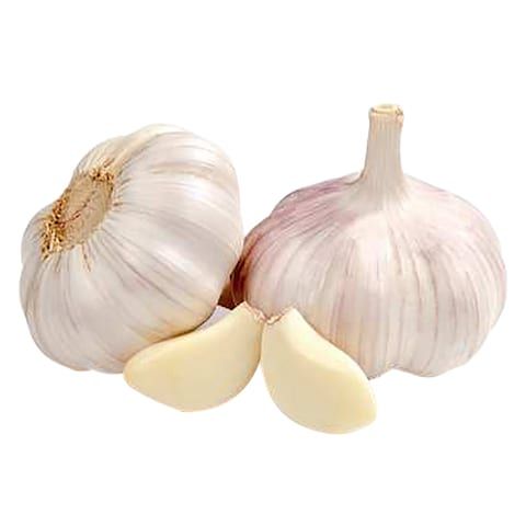 Garlic_0