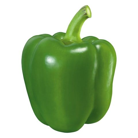 Capsicum _1