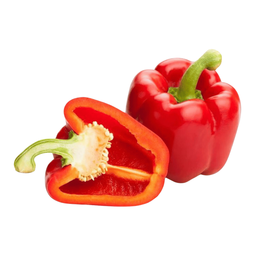 Capsicum _3