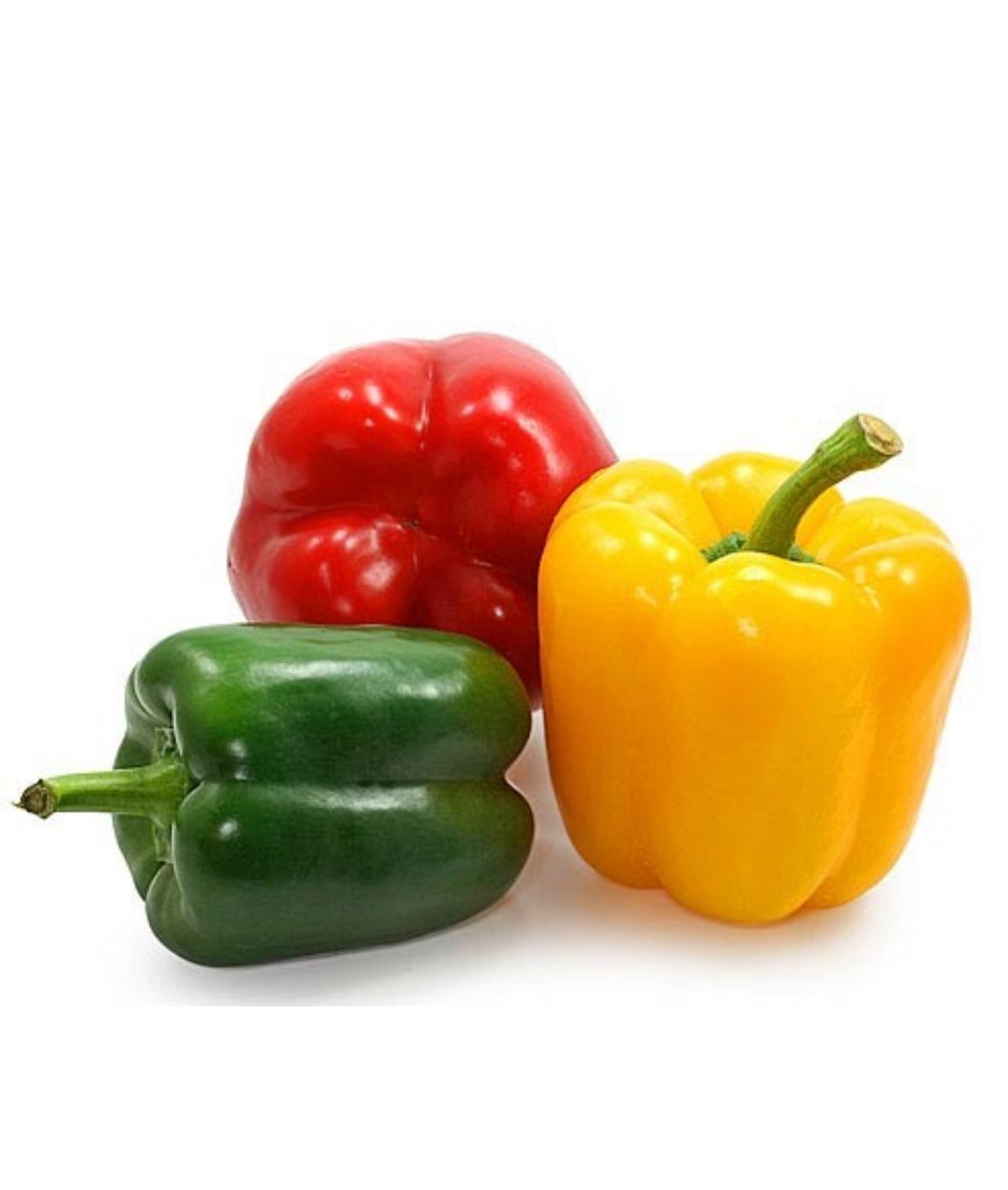 Capsicum _0