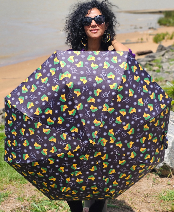 Parapluie parasol à ouverture et fermeture automatiques_1