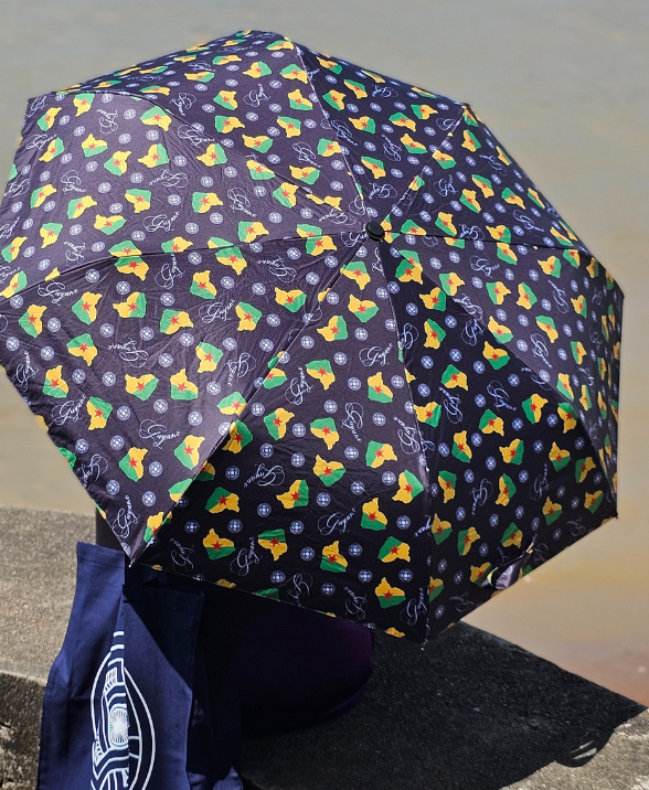 Parapluie parasol à ouverture et fermeture automatiques_0