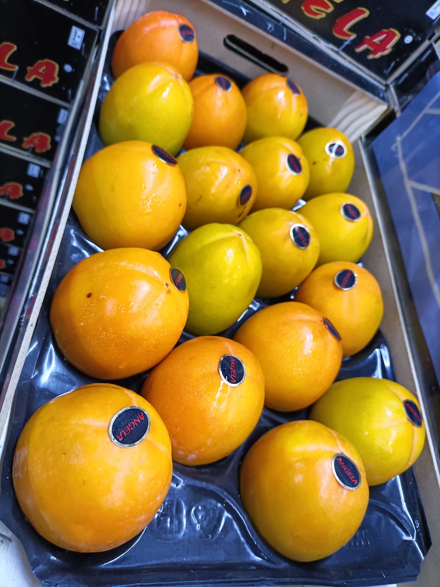 SPAIN Kaki Persimmons_2