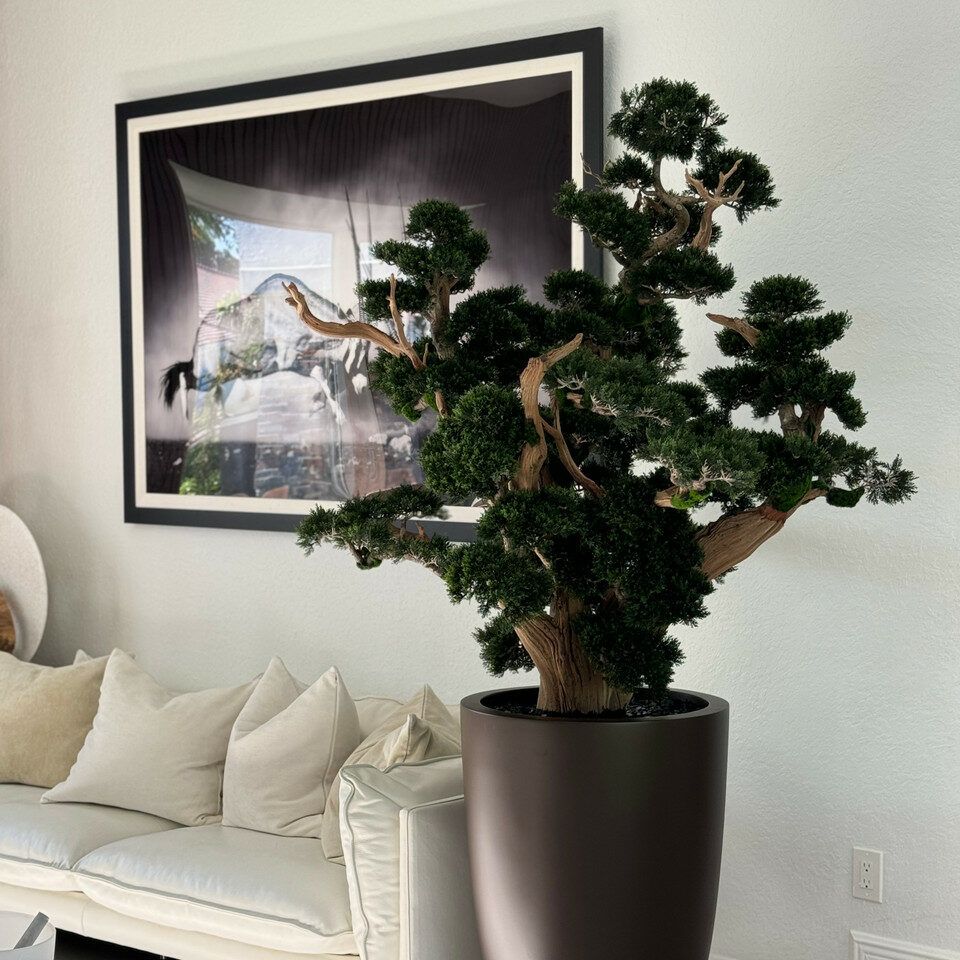 Oversized bonsai in matte brown Brannan planter _4