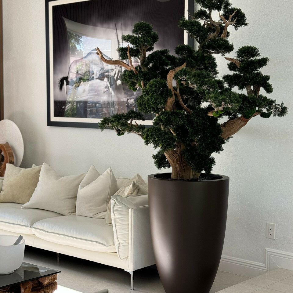 Oversized bonsai in matte brown Brannan planter _1