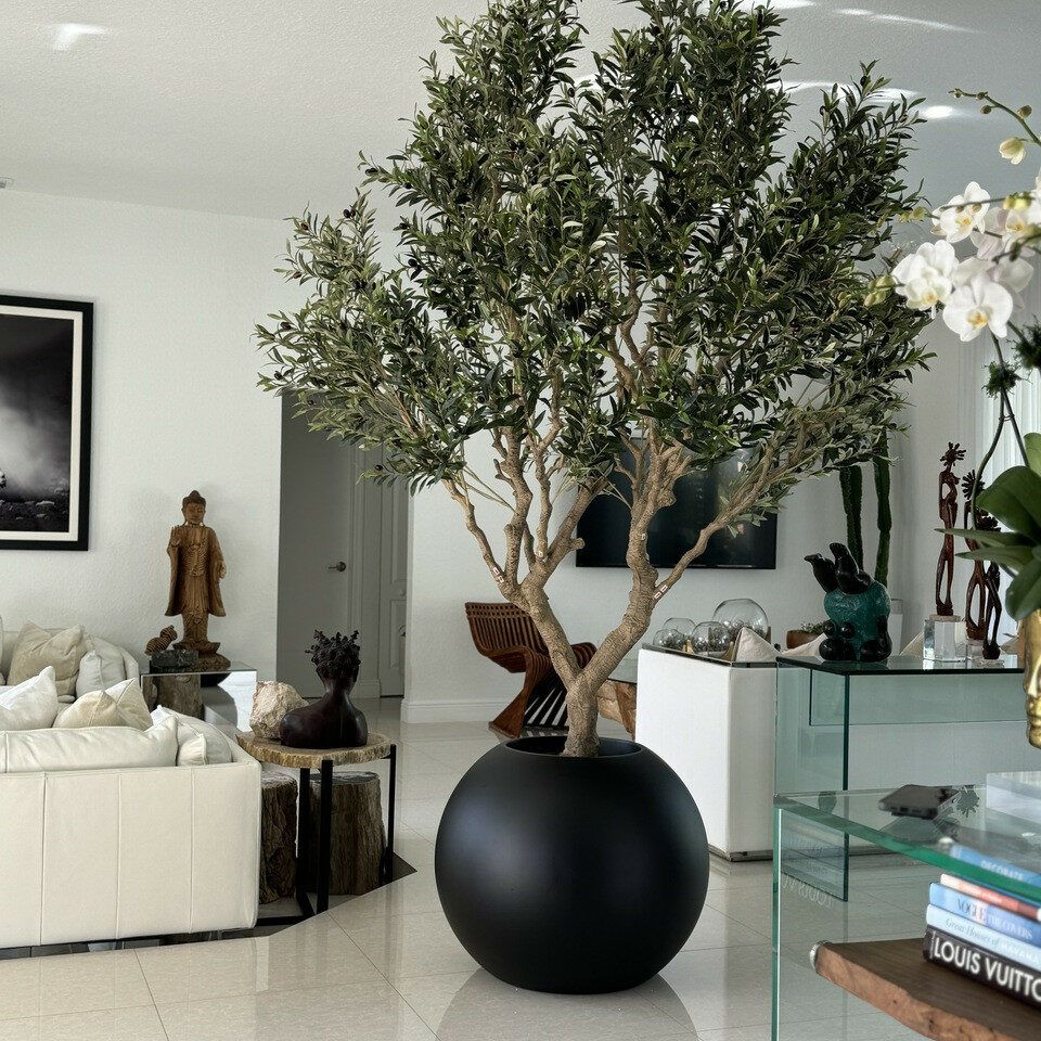 Olive tree in matte black globe planter_0