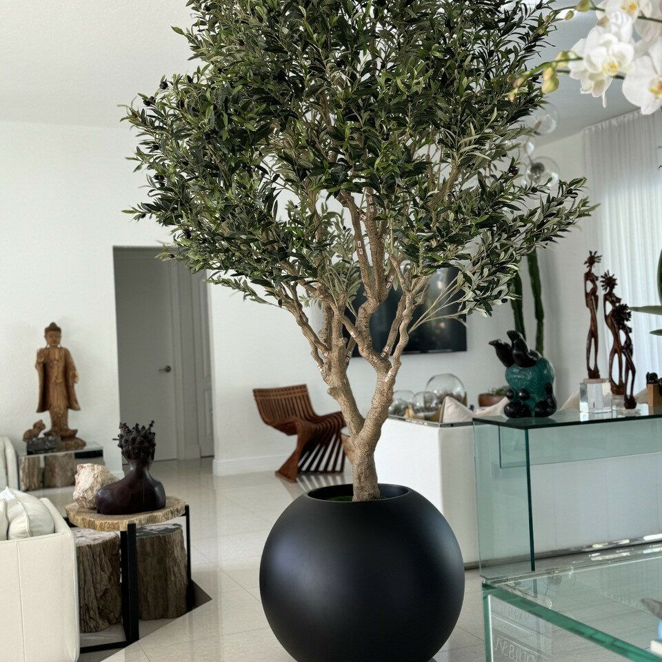 Olive tree in matte black globe planter_1