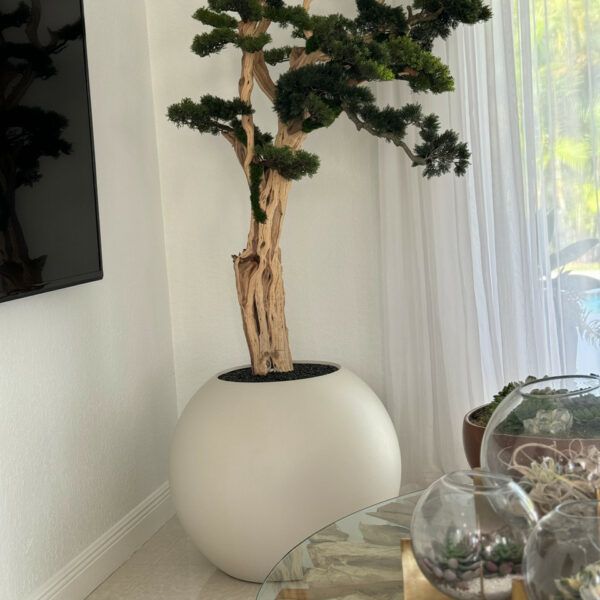 Trailing Bonsai in a 30inch satin beige globe_1