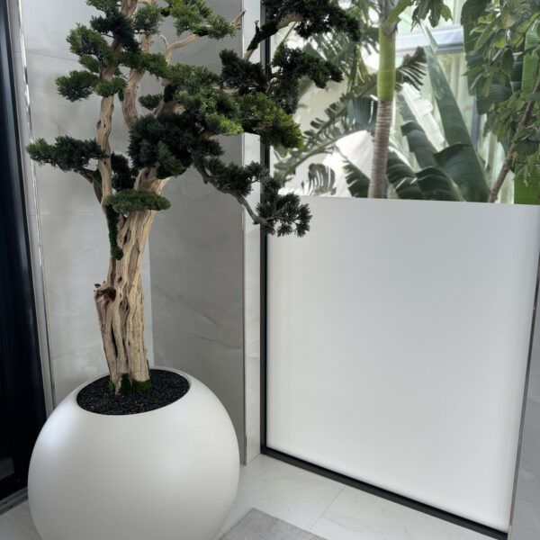 Trailing Bonsai in a 30inch satin beige globe_4