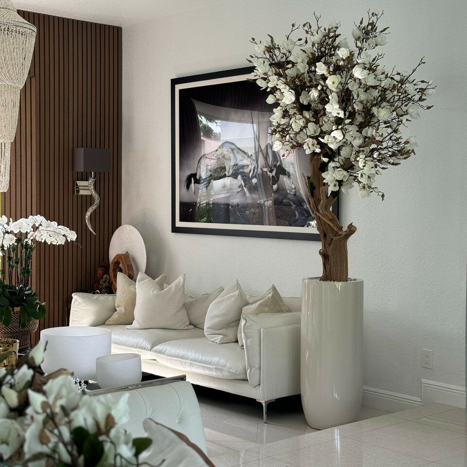 7ft magnolia tree in a glossy St Tropez planter _1