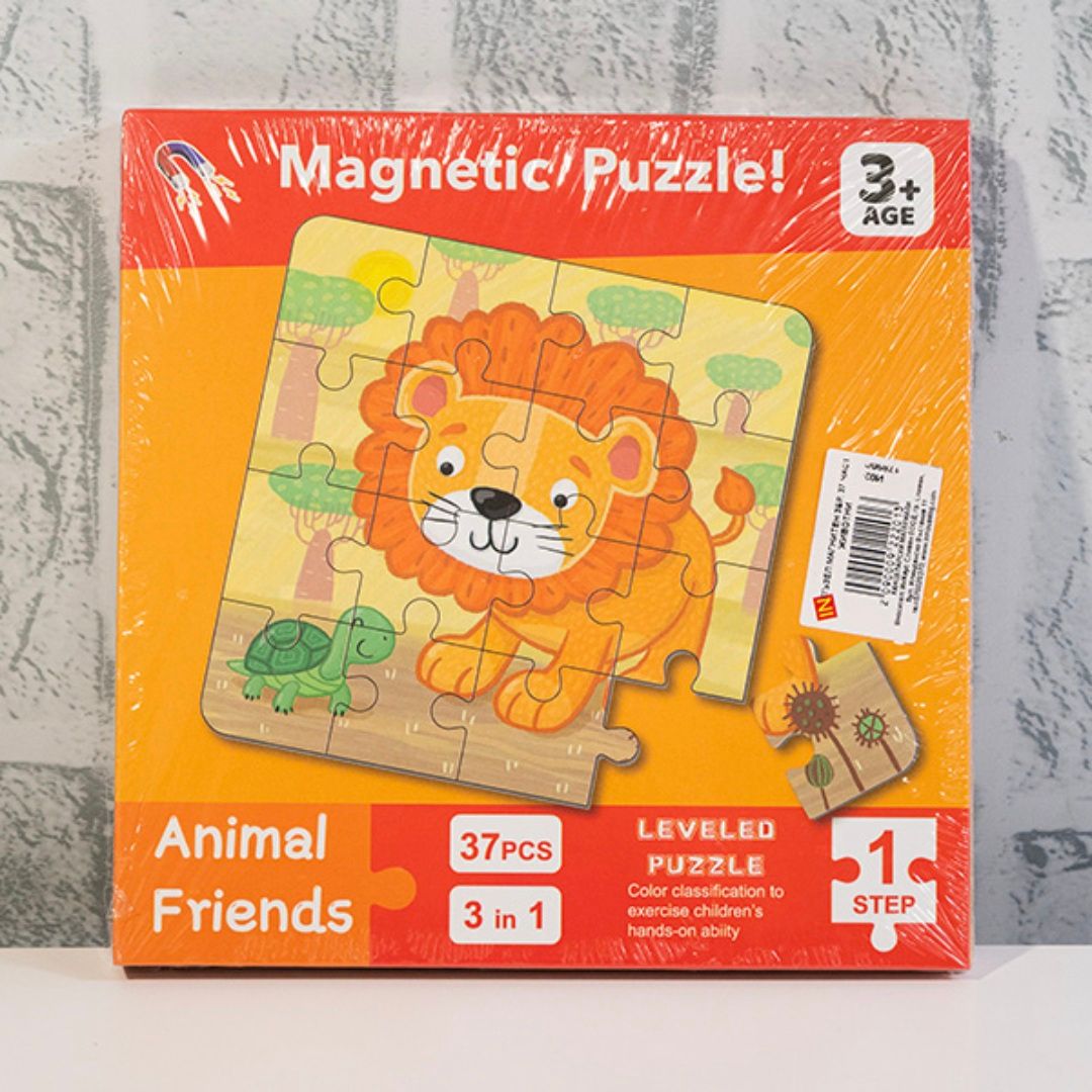 Puzzle Magnetique 3 en 1_1