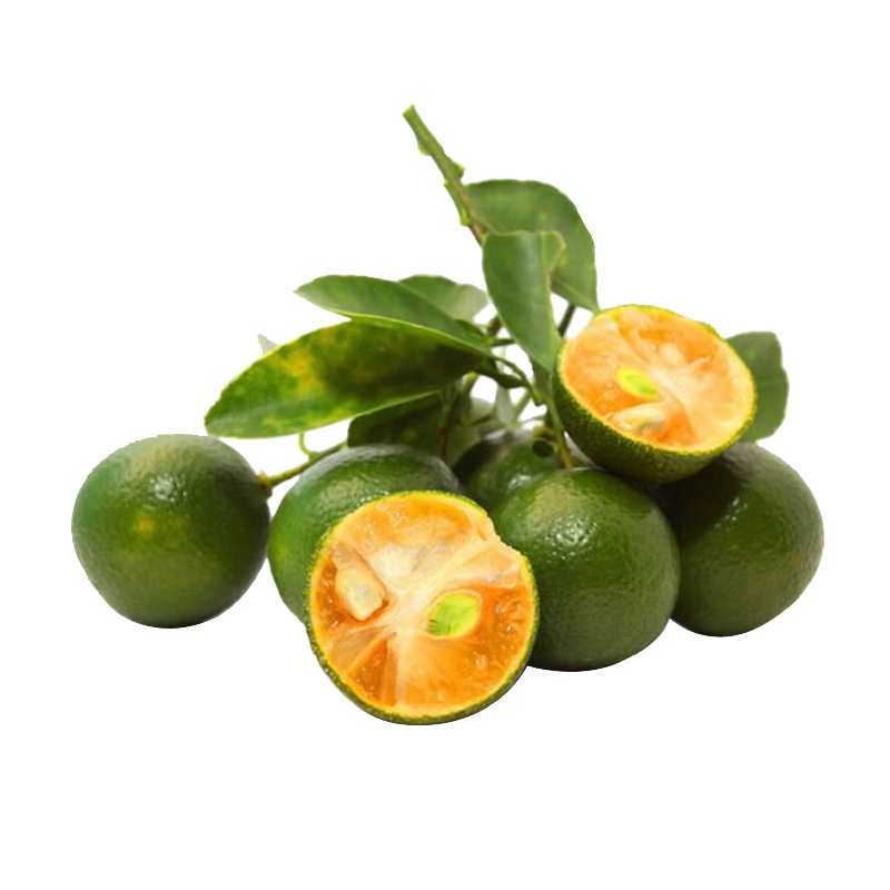 Limau Kasturi_0