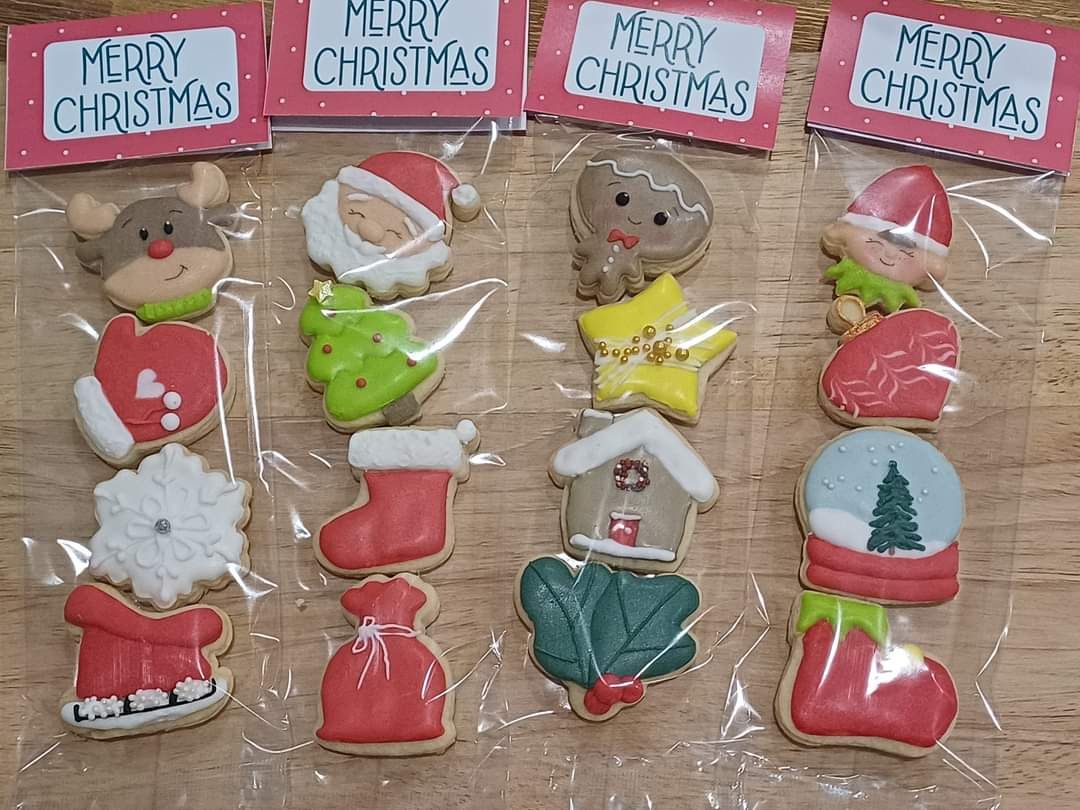 Christmas minis_0