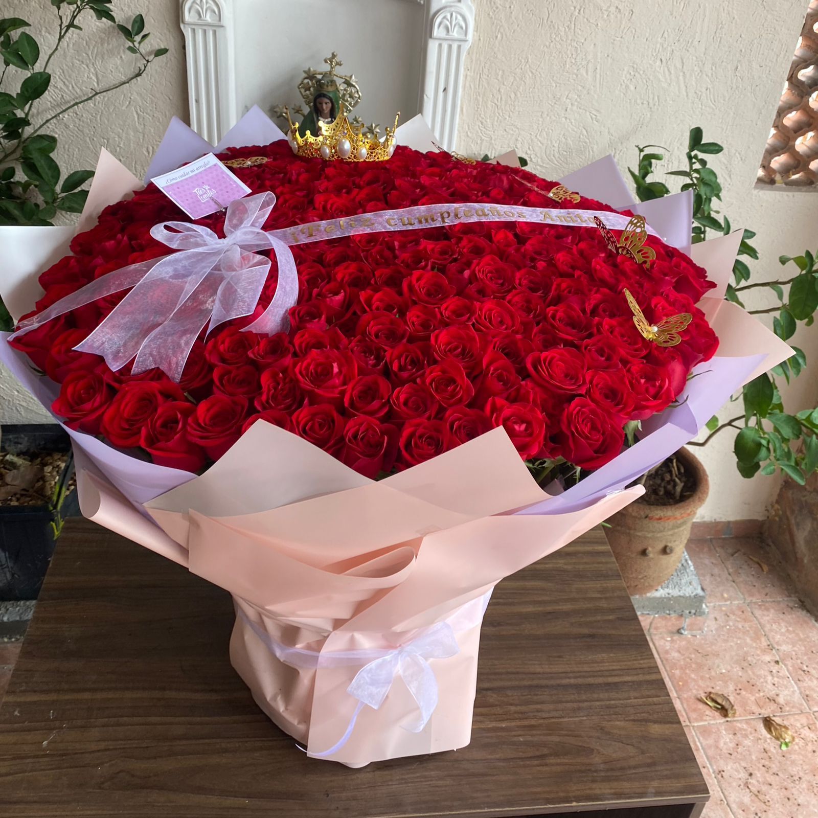 250 rosas_0