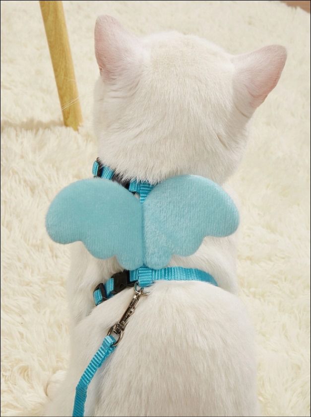 Pet Harness with Leash_2