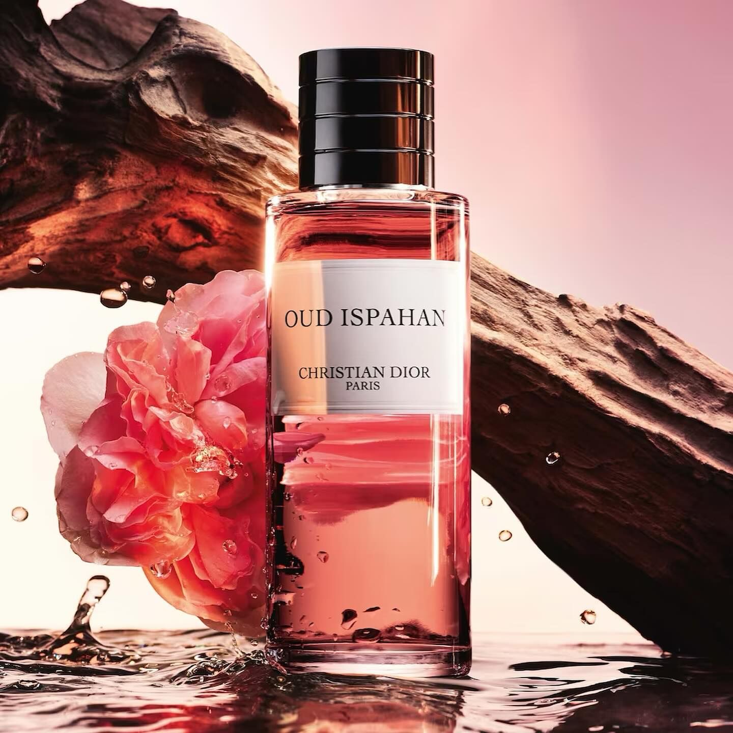 Dior Oud Ispahan Edp 125ml Perfume_0