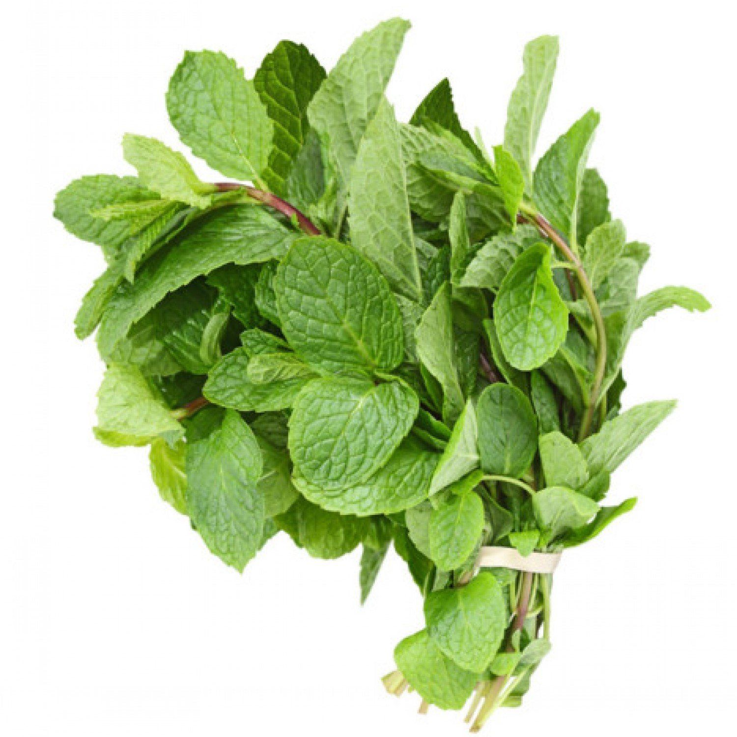 Mint Leaves_0