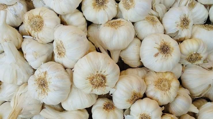 Lassan Jumbo (Garlic, Tellagaddalu) _0