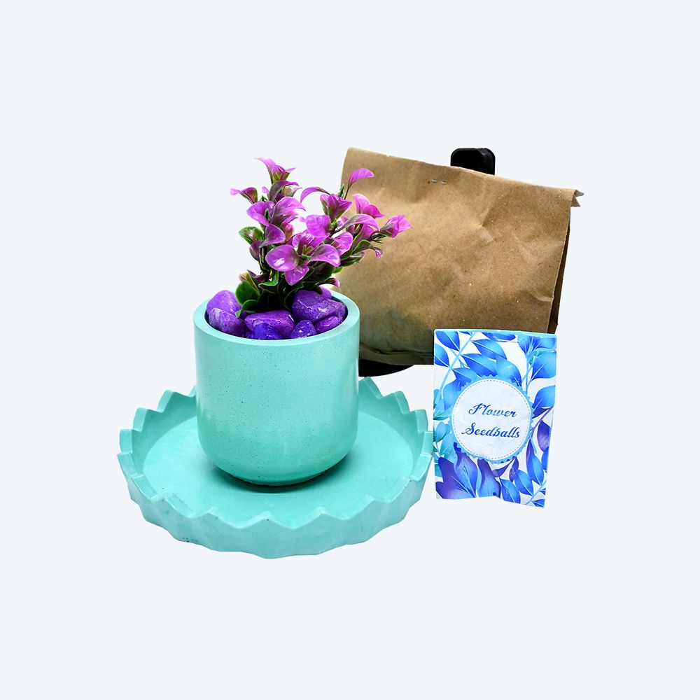 Buffindia EcoSprout Round DIY Planter Kit_0