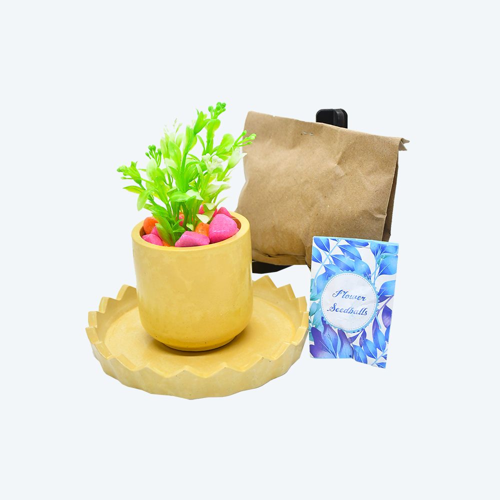 Buffindia EcoSprout Round DIY Planter Kit_2