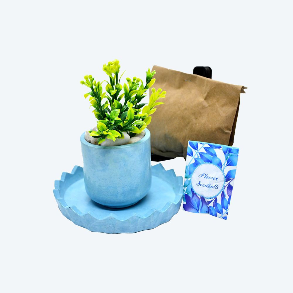 Buffindia EcoSprout Round DIY Planter Kit_3