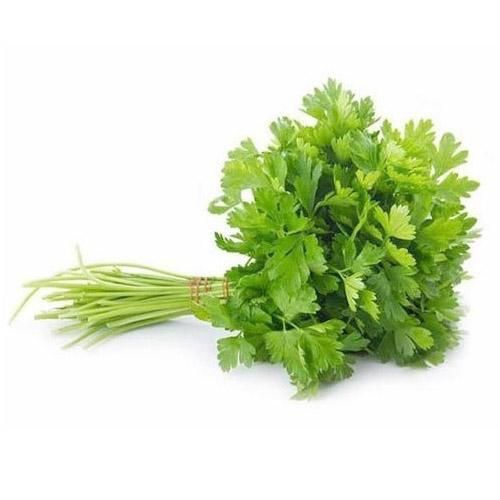  Coriander Leaves_0