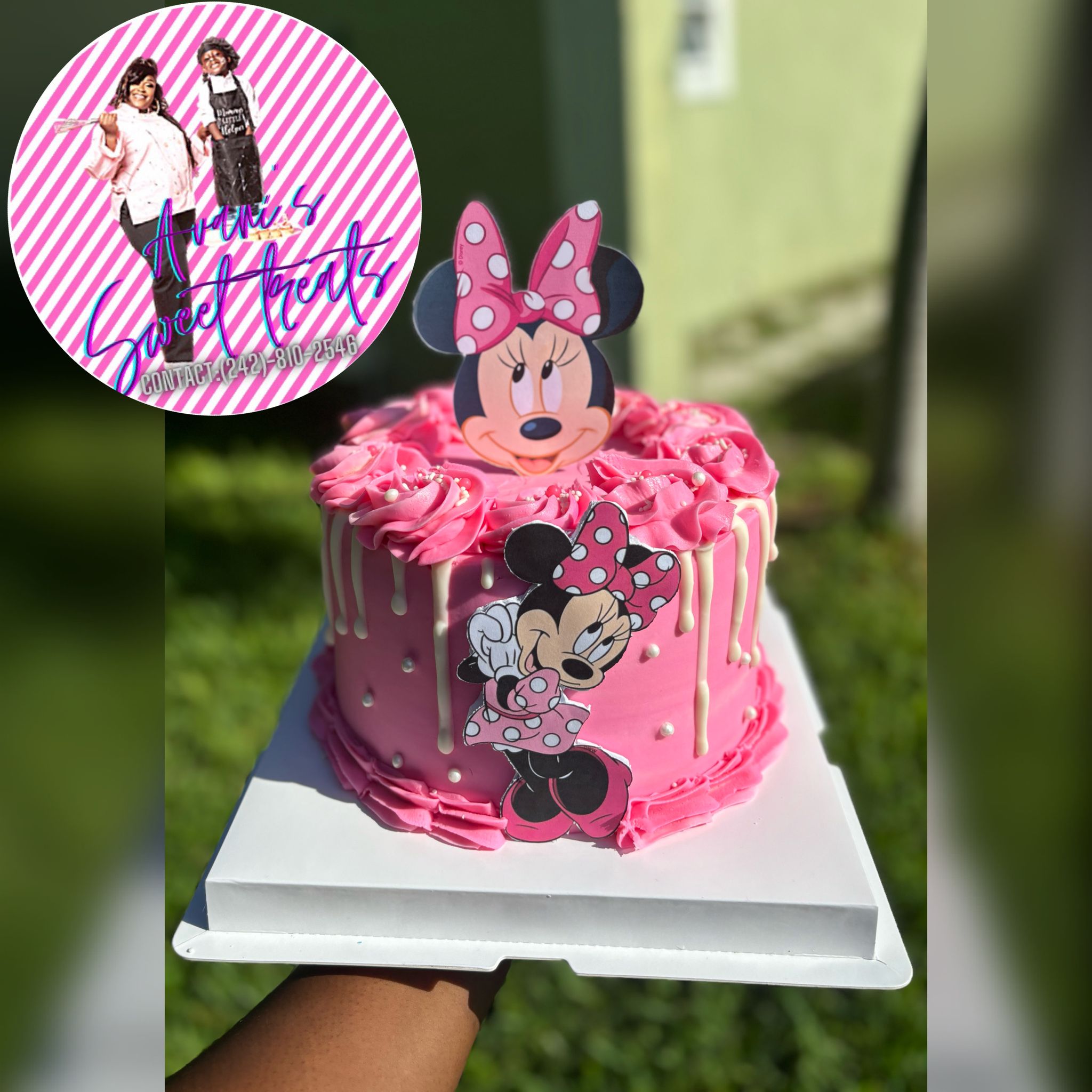 Character Cakes_1